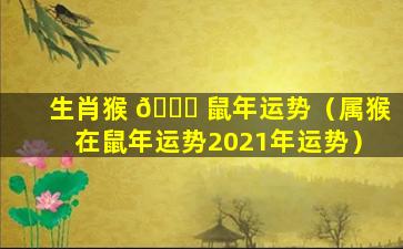 生肖猴 🍀 鼠年运势（属猴在鼠年运势2021年运势）